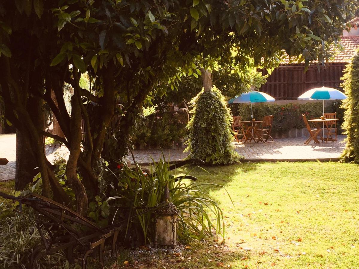 Quinta Padre Lobo Guest House Santa Maria da Feira Luaran gambar