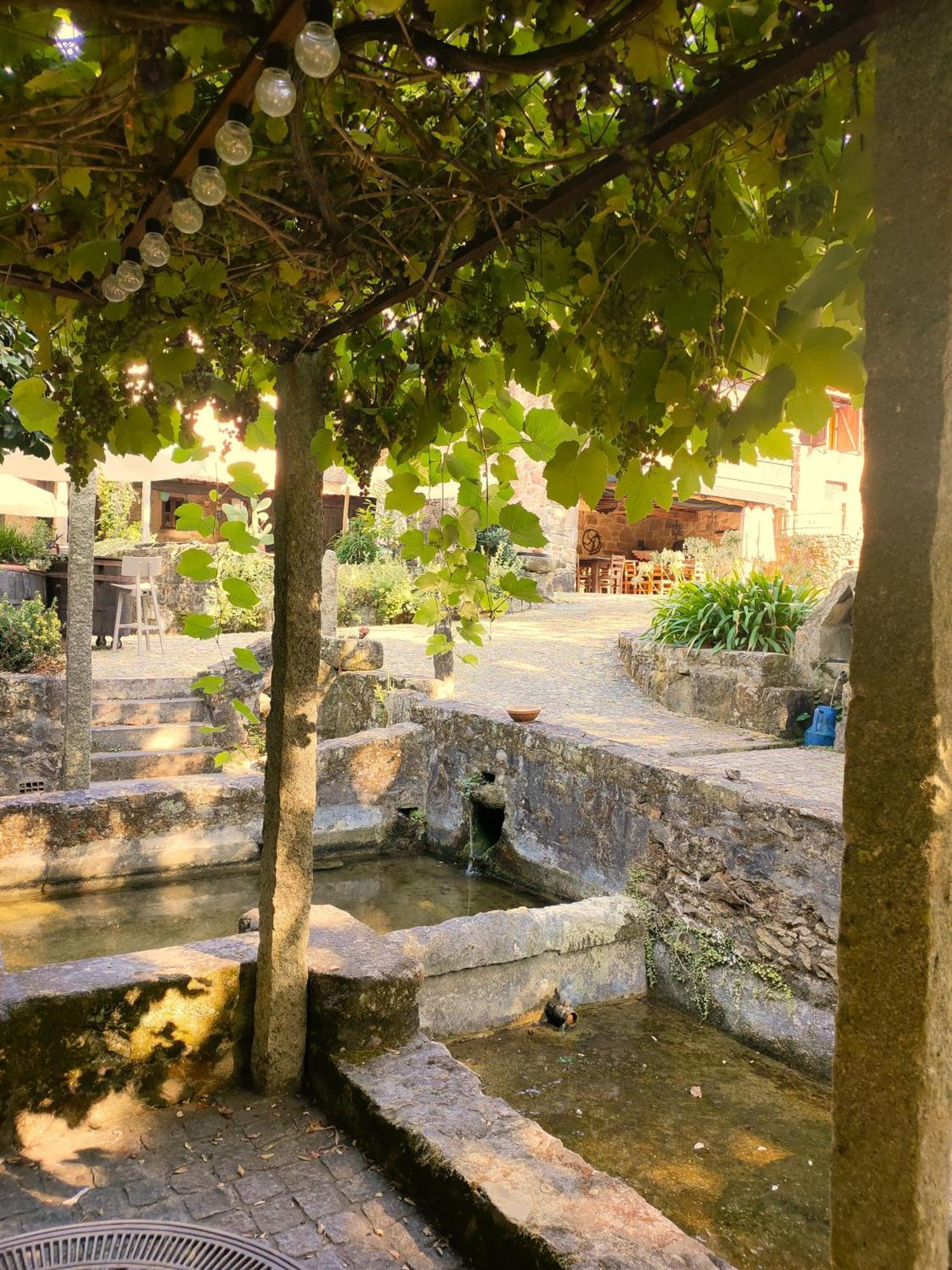 Quinta Padre Lobo Guest House Santa Maria da Feira Luaran gambar