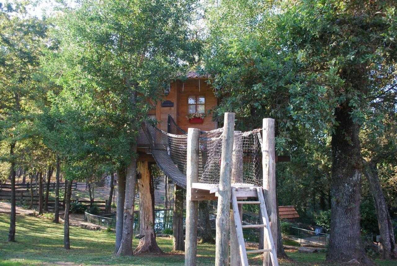 Quinta Padre Lobo Guest House Santa Maria da Feira Luaran gambar