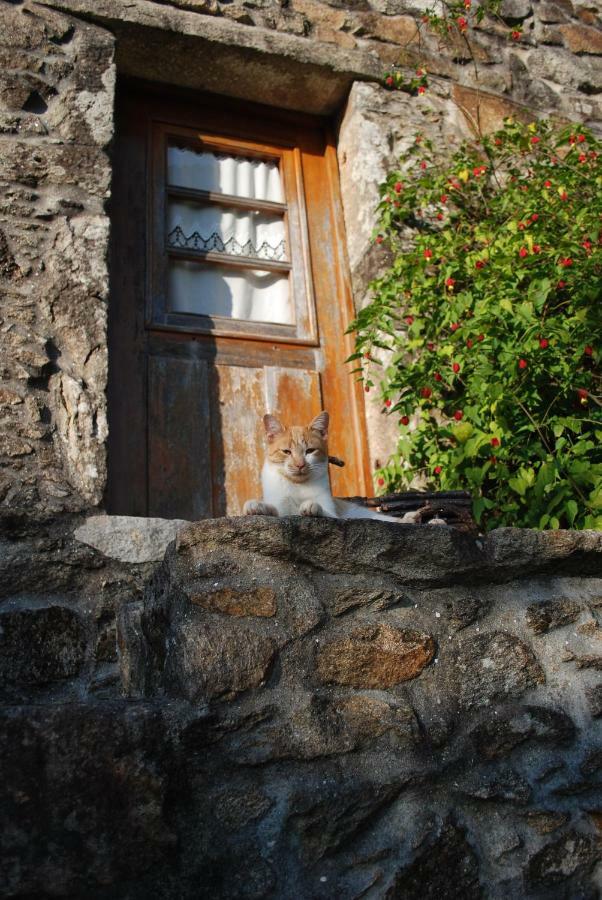 Quinta Padre Lobo Guest House Santa Maria da Feira Luaran gambar